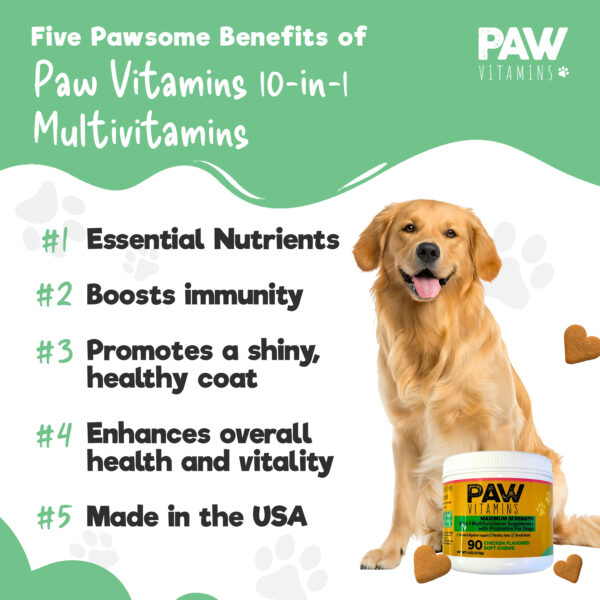 10 in 1 Dog Multifunctional Dog Chews - Image 6